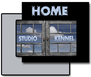insightout Studio and Kennel